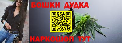 spice Гатчина