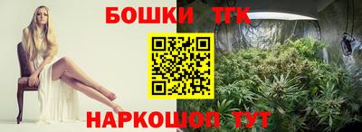spice Гатчина